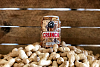 Click image for larger version. 

Name:	CRUNCH-CRATE-1MB-450x300.png 
Views:	120 
Size:	238.9 KB 
ID:	2562